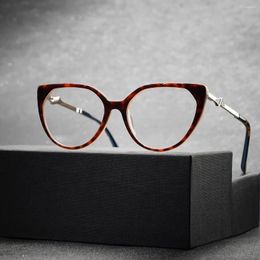 Sunglasses Frames Vintage Acetate Cat-eye Glasses Frame Ladies Personality Optical Prescription Myopia