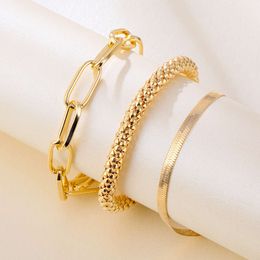 New Snake Bone Multilayer Creative Personalized Metal Chain Bracelet HZS193