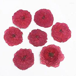 Decorative Flowers 30pcs Natural Pressed Dried RoseFlower For Epoxy Resin Jewelry Making Bookmark Phone Case Face Makeup Nail Art DIY