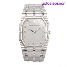 Designer AP Wristwatch Mens Watch 18k Platinum Manual Mechanical Classic Fashion Womens Watch Luxury Watch Clock Swiss Watch Famous