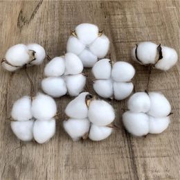 Decorative Flowers 10Pcs Cotton Head Natural Dried Flower Artificial Botany Home Christmas Decor DIY Wedding Garland Wreath Floral Wall