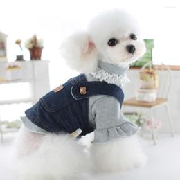 Dog Apparel Knitted Denim Two Piece Designer Clothes Autumn And Winter Fashion Solid Colour Cat Jumpsuits & Rompers