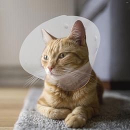 Dog Apparel Elizabeth Circle Cat Cone Kitten Puppy Toys Recovery Collar For Pet Wound Heal Neck