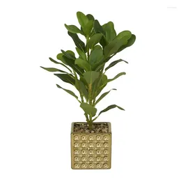 Decorative Flowers Artificial Bay Laurel Plant In Realistic Leaves And Square Porcelain Pot Eucalyptus Garlands Pampas Grass Foam