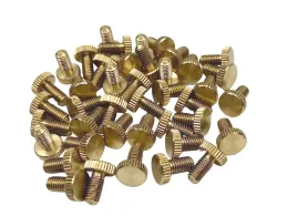 Cables 30 Pcs 100% Brass Guitar Double System Tremolo Bridge Saddle Lock String Screws Fine Tuning Mounting Screws Fit Floyd R