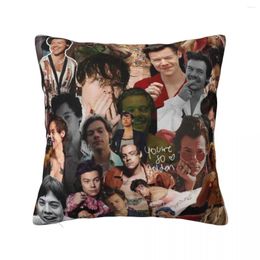 Pillow Harrys Pillowcase Printing Polyester Cover Decor Styles Throw Case Home Square 40 40cm