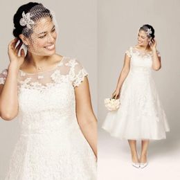 Classic Short Plus Size Wedding Dresses Beach Bridal Gowns With A Line Sheer Neckline Lace Tealength Cap Sleeves Vintage Wedding 1036084