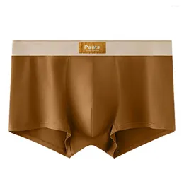 Underpants Men's Basic Design Briefs Shorts With Elastic Waistband Patchwork Colour Letter Print Underwear