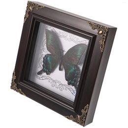 Frames Butterfly Specimen Po Frame Wall Hanging Framed Decor Picture Office Display Retro Holder
