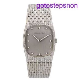 Designer AP Wristwatch 18k Platinum Scale with Diamond Manual Mechanical Fashion Womens Watch Luxury Watch Swiss Watch Highend