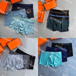 Mens Casual Underpants Ice Silk Breathable Boxers Designer Letter Printed Boxers Sexy Men Underpant Briefs