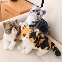 플러시 인형 26cm 박제 생명의 고양이 플러시 장난감 시뮬레이션 미국 쇼트어 귀여운 고양이 인형 애완 동물 장난감 홈 장식 선물 생일 Y240415