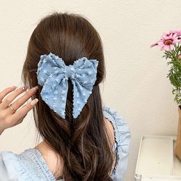 Internet Famous New Denim Fabric Bow Ponytail Spring Clip, Cute Hair Accessory, Back Spoon Clip Head Accessory