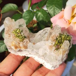 Decorative Figurines 211g Natural Clear Crystal Cluster Symbiosis With Green Tourmaline Quartz Vug Gemstone Flower Reiki Healing