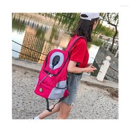 Cat Carriers Portable Pet Backpacks Mesh Breathable Backpack Travel Bag Outdoor Large Capacity Carrier Folding Bags