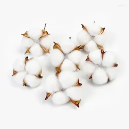 Decorative Flowers 10 Pcs Dried Flower Simulation Cotton Head Christmas Decoration Ornament Shooting Props Home Arrangement Material