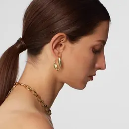 Hoop Earrings Large-sized Niche Design Light Luxury High-end Feeling Fashionable For Women INS