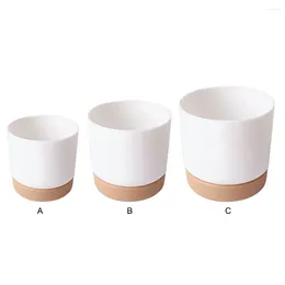 Vases White Stylish And Practical Plant Pots Garden Lovers Enthusiasts Environmentally Friendly