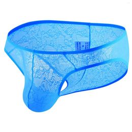 Underpants Gays Sexy Seductive Revealing Transparent Panties Men's Low Waisted Underwear Funny Lace Bottom Pants Boys U Convex Pouch Briefs