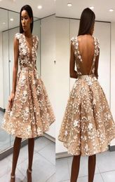 Short Knee Length Prom Dresses Sheer Deep V Neck Backless 3D Floral Appliqued Lace Formal Evening Gowns A Line Party Dress3608261