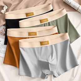 Underpants 4pcs Wholesale Men's Underwear Combination Cotton Breathable Flat Angle Shorts Loose Oversized Summer Quick Drying