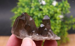 Decorative Figurines Natural Beautiful Black Quartz Crystal Cluster Mineral Specimen Rare Home Decor