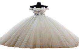 2017 Sexy Fashion Lace Ball Gown Quinceanera Dresses with Appliques Tulle Plus Size Sweet 16 Dresses Vestido Debutante Gowns BQ292351423