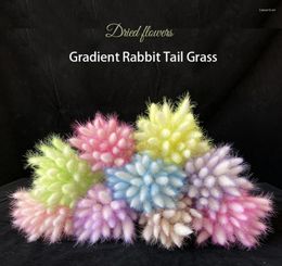 Decorative Flowers 30pcs Natural Dried Gradient Tail Grass Flower Pograph Props Home Office Indoor Decor Dry Colorful