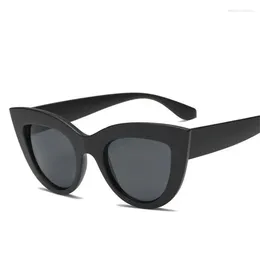 Sunglasses Fashion Cat Eye Women 2024 Tinted Colour Lens Men Vintage Shaped Sun Glasses Female Eyewear Brand Designer