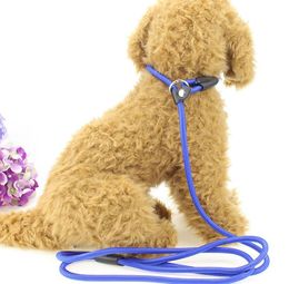 PET Dog Nylon Rope Rope Training Leases Slip Lead Strap Tract Twith Class Cogs Supplies 0.6*135cm