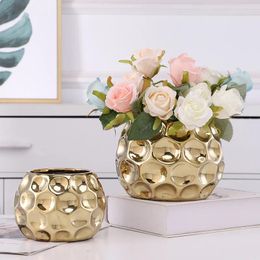 Vases European Golden Vase Big Mouth Flower Arranging Succulent Pot Tabletop Decoration Living Room Art Deco