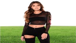 Embroidery Flower Black See Through TShirt Women Crop Top Transparent Mesh Sheer Tube Club Women Top Ladies Tees TShirts8081739