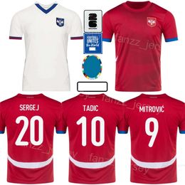 Men Euro Cup Soccer Serbia 22 Sasa Lukic Jersey 24/25 National Team 8 Luka Jovic 9 Aleksandar Mitrovic 14 Andrija Zivkovic 20 Sergej Milinkovic-Savic Football Shirt