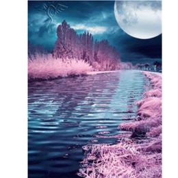 Flower-53.99 Cartoon Digital Oil Painting Moon Night Scene Filling Suitable For Adults