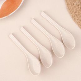 Spoons 4Pcs Wheat Straw Dinnerware Soup Japanese Rice Sauces Spoon Porridge For Wonton Dumpling