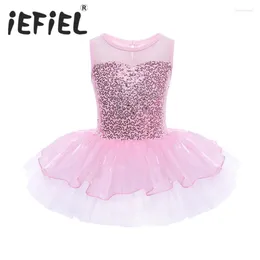 Girl Dresses Sequins Kids Ball Gown Dress Christmas Gift Party Fancy Costume Cosplay Tutu Leotard Girls Ballet Flower Dancewear Clothes