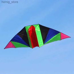 free shipping 3m glider kites for adults kites professional wind kites factory ripstop nylon kites factory paraglide windsurfing Y240416