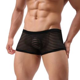 Sexy Socks Mens Sexy Underwear See Through Breathable Mesh Boxer Shorts Transparent Striped Underpants Comfortable Male Hombre Thin Soft 240416