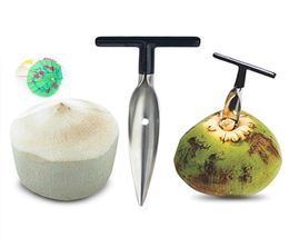 Coconut Opener Tool Stainless Steel Water Punch Tap Drill Straw Open Hole Cut Gift Fruit Openers Tools2798582