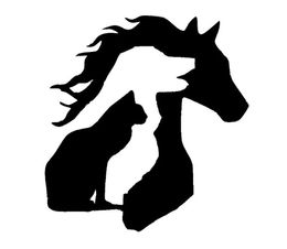 125153CM ANIMAL LOVER Horse Dog Cat Vinyl Deal Funny Cartoon Car Sticker Black Silver CA10306063012