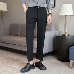 Men's Suits High-end 2024 Spring Leisure Business Suit Pants Elastic Waist Slim Trousers Vertical Straight Long 5659