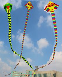 15m Snake Flying Line Ripstop Nylon Fabric Outdoor Toys Cerf Volant Easy Open Kids Kites For Adults Rainbow6488966