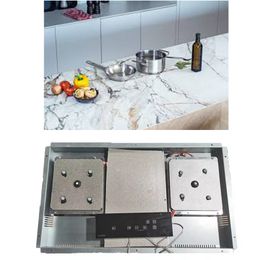 LF Dual Burner Invisible Cook Top Build in Induction Cooker Invisible Hob for Granite