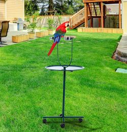 49quot Bird Parrot Play Stand Cockatoo Gym Perch Metal Pet Feeder w Bowls Wheels3846004