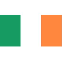 Whole 150x90 cm Ireland Flag 3x5ft Flying Banner 100D Polyester National Flag Decoration 9079282