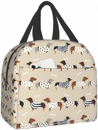 dachshunds Insulated Tote Lunch Bag for Women & Men, Reusable Portable Thermal Cooler Box for Work Picnic Travel B6Y4#