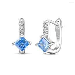 Stud Earrings S925 Silver Ear Studs Women's Blue Zircon Stone Inlaid With A Unique Design Sense Fashion Versatile Series Jewellery