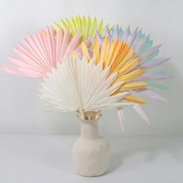 Decorative Flowers 1PC Multi Colour Dried Flower Cattail Fan Palm Leaves Pampas Grasses Branches Diy Wedding Decorations Home Decor Craft