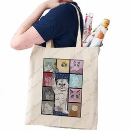 cute Carto Cat Pattern Tote Bag Shop Bag, Casual Canvas Shoulder Bag, Portable Storage Bag, Taylor merch Gift U880#