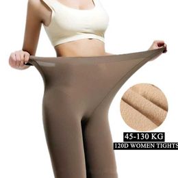 Sexy Socks 130 KG New Plus Size Sexy Women Tights Warm Winter Fleece Pantyhose 120D High Waist Female Stretchy Opaque Footed Tights 240416